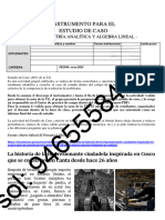 Instrumento para El Estudio de Caso - Geometría Analítica y Algebra Lineal