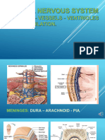 CNS - màng não tuỷ, não thất,... 