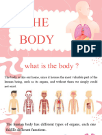 Presentacion THE BODY