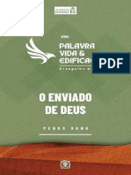 Alimento Diario Evangelho de João - Livro 6 O Enviado de Deus