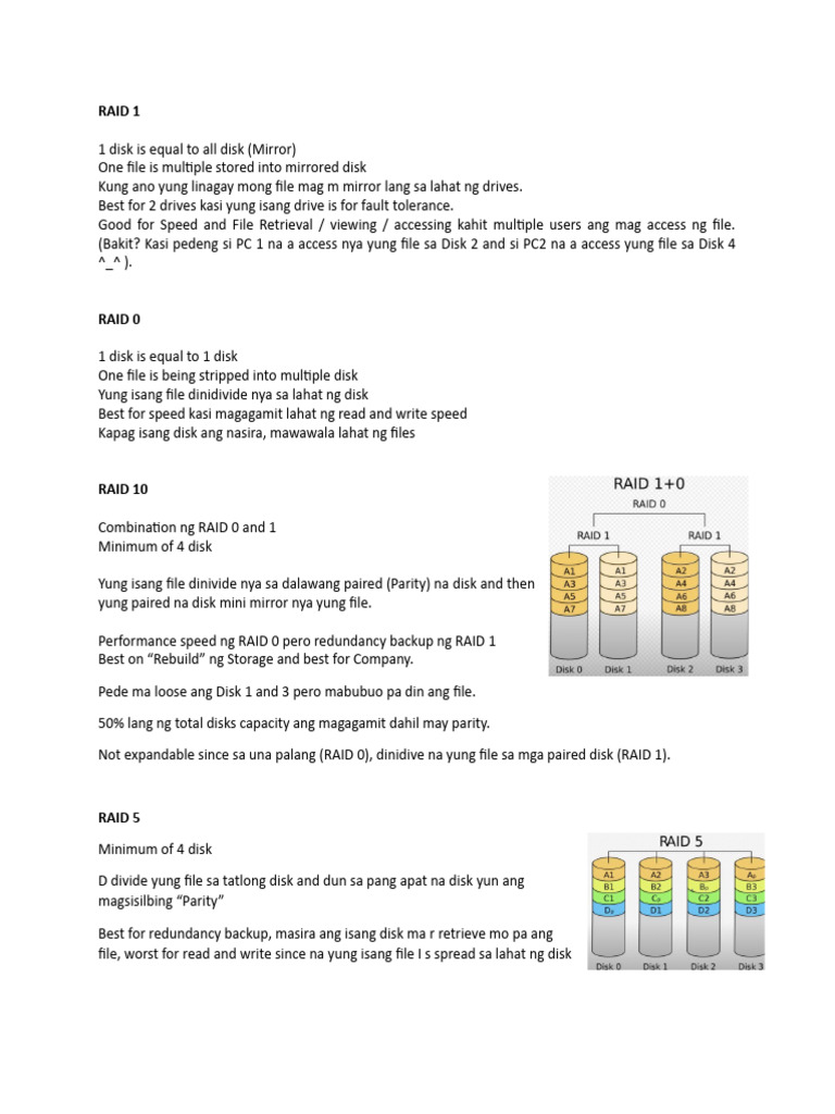 Redundant array of independent disk v1 pdf