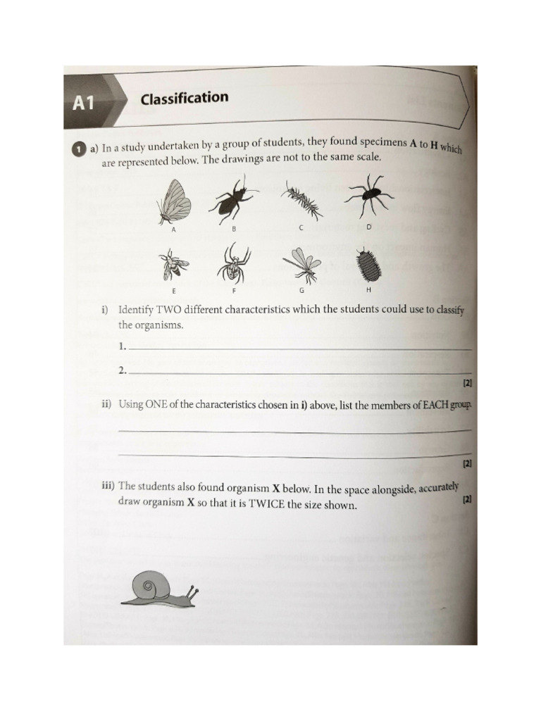 Classificiation Review Questions | PDF