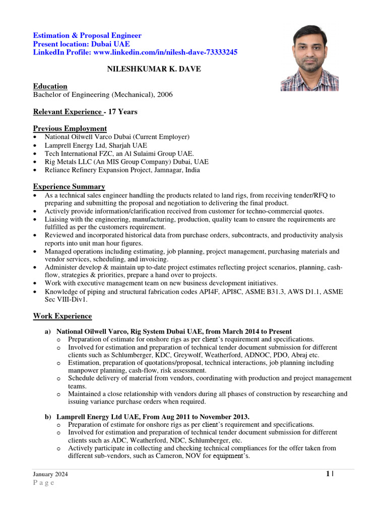Engineer's Professional Profile | PDF