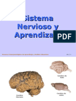 Sistema Nervioso y Aprendizaje I 5343