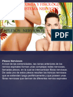 Plexos nerviosos-TP