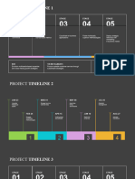 Project Stage Timeline