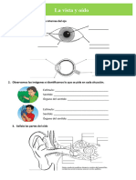 D3 A1 FICHA CT. La Vista y Oído