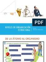 Diapositivas de Los Niveles de Organización Estructural (Atomo, Celula y Tejido) (Organo, Sistema, Aparato)