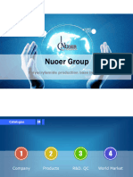 Nuoer ppt
