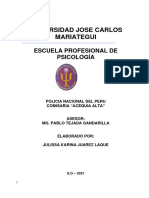 Informe Final PS Social