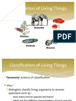 Classification of Living Things