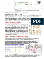 Retroalimentación Guía N°4: Unidad: Evolucion Y Biodiversidad Primero Medio A-B-C