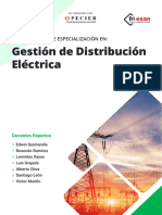 Brochure Dist Elect-1