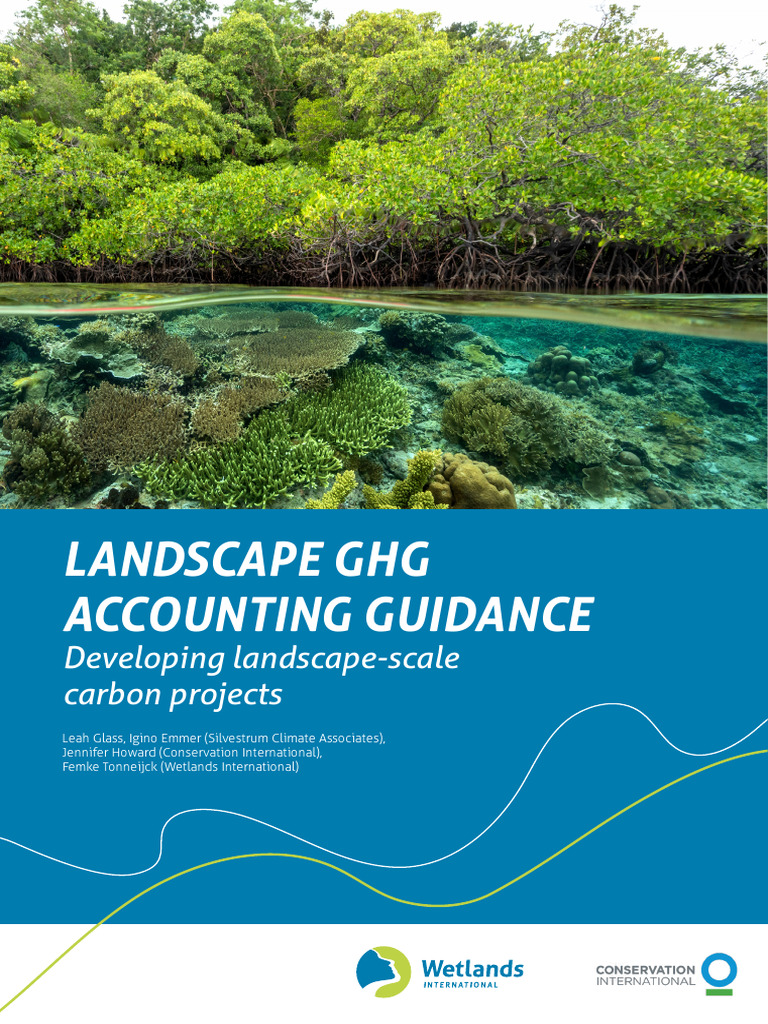 Landscape GHG Accounting Guidance 1 | PDF | Climate Change Mitigation ...
