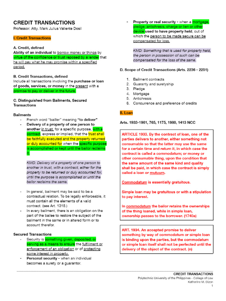 Credit Transactions | PDF