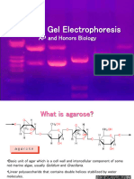 agarosegelelectrophoresis-160923162524