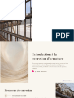 Introduction A La Corrosion Darmature