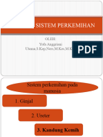 Anatomi Sistem Perkemihan