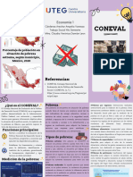 Triptico Coneval Pobreza y Tipos de Pobreza-Vanessa Cardenas