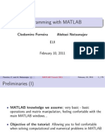 Programming With MATLAB: Clodomiro Ferreira Aleksei Netsunajev EUI