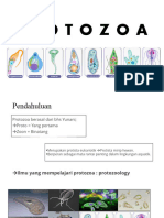 PROTOZOA SMK Kls 12 TLM