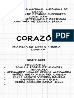 Infografía Anatomía Externa e Interna Del Corazón