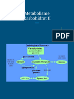 Metabolisme Karbohidrat II