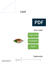 Lipid 1