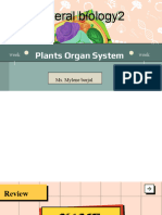 L1 - Plant Organ System