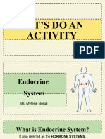 L5 Endocrine System