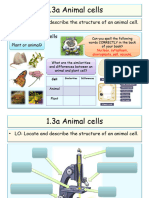 1.3a Animal Cells PP
