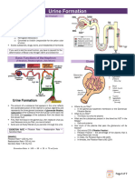 1.2 Renal Physiology 2