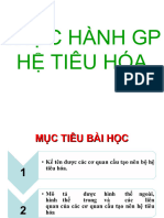 GPHETIEUHOA