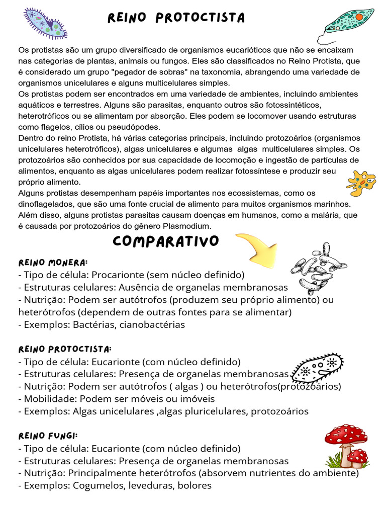 Características dos Reinos Monera e Protista | PDF | Protozoários | Algas