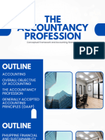 Chapter 1 The Accountancy Profession