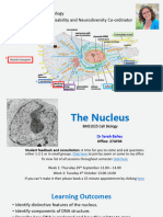 L2 & 3 The Nucleus
