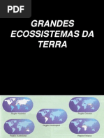 1_ano