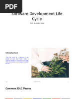 Software Development Life Cycle: Prof. Arvinder Kaur