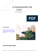 Software Development Life Cycle: Prof. Arvinder Kaur