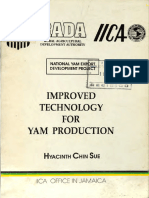 Yam Production