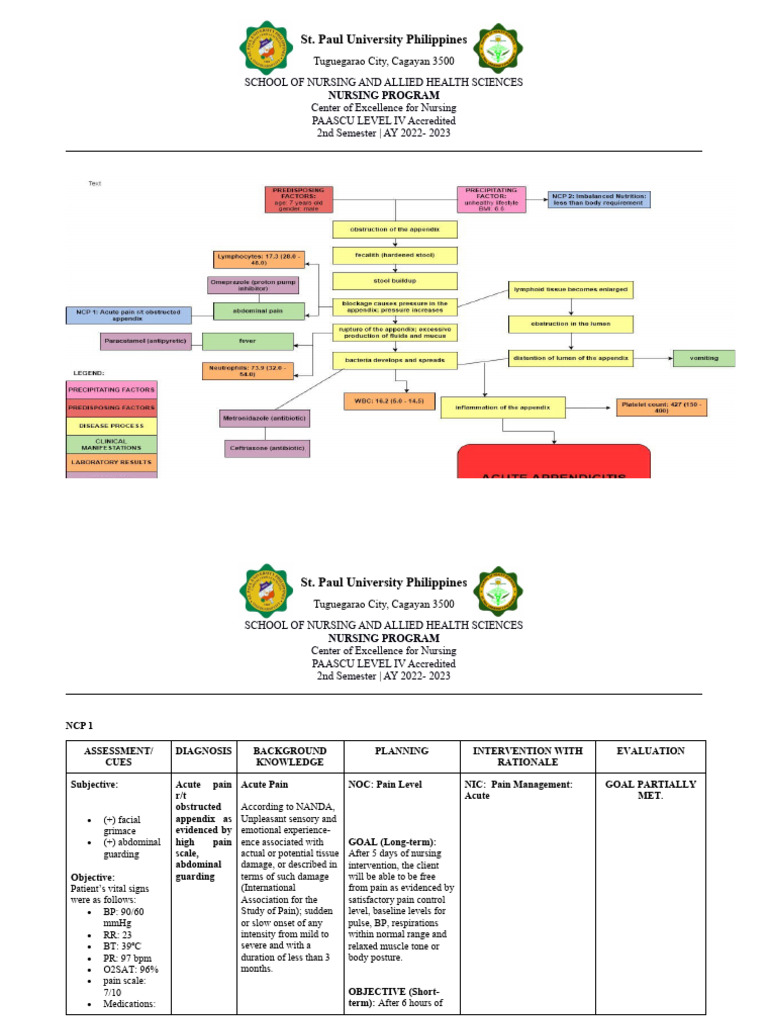 NCP and Pathophy CVMC | PDF | Pain | Pain Management