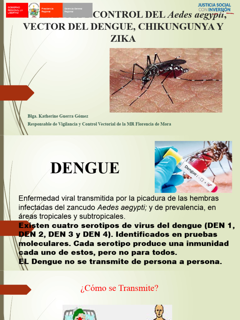 Control del Aedes aegypti | PDF | Salud pública | Enfermedades y trastornos