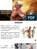 Anatomia E Fisiologia: Professora: Daiana Ferreira Dos Santos Campagnaro