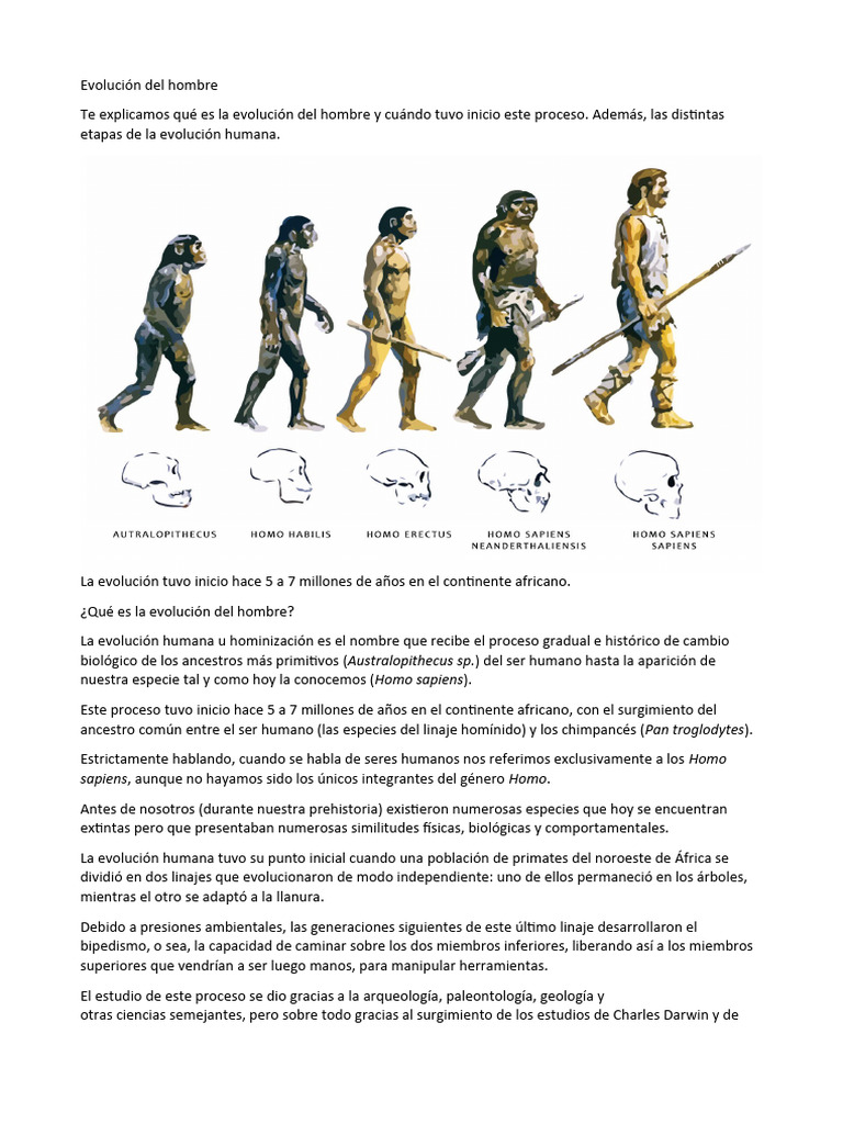 Evolución Del Hombre | PDF | Homo | Evolución humana