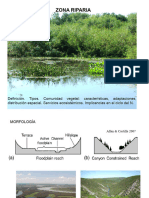Importancia de las Zonas Riparias | PDF | Zona ribereña | Humedal