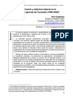 Concentración y Deterioro Laboral en La Producción Agrícola de Tucumán (1990-2020)