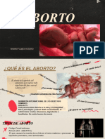 Aborto Legal Presentacion