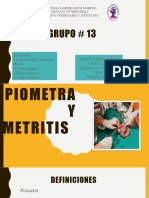 13 Piometra Expo-1