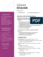 Beżowe I Brązowe Bloki Kolorów Początkujący Nowy Absolwent CV 17