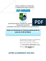 Analyse Des Déterminants de L'insertion Professionnelle Des Jeunes Dans La Ville de Bukavu